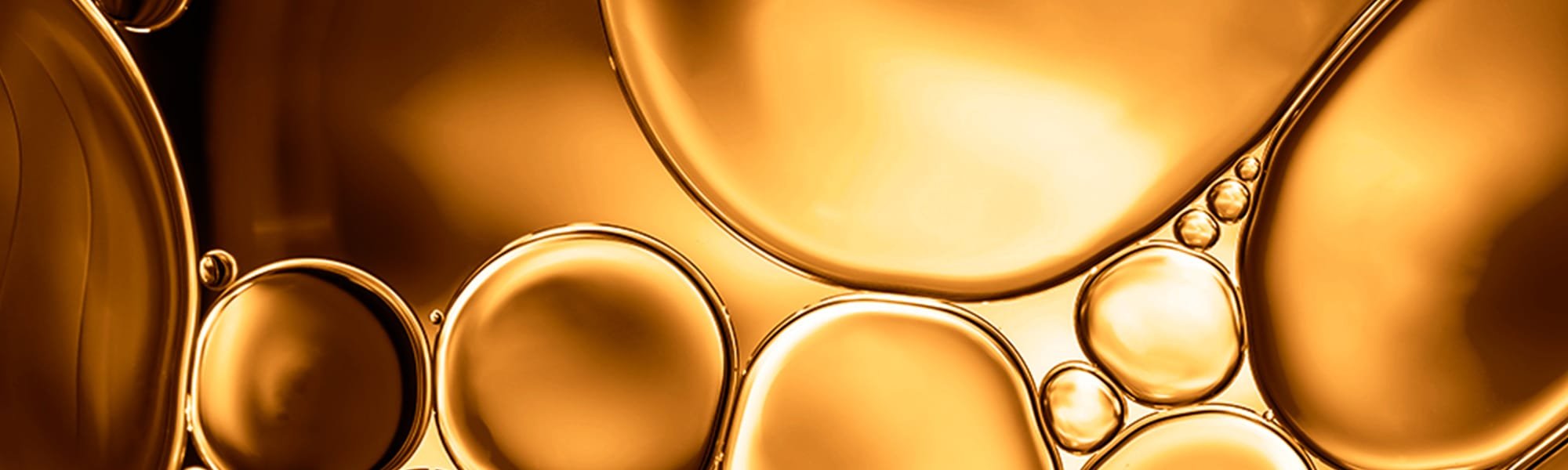 226663   2000x900px   Capelli Secchi