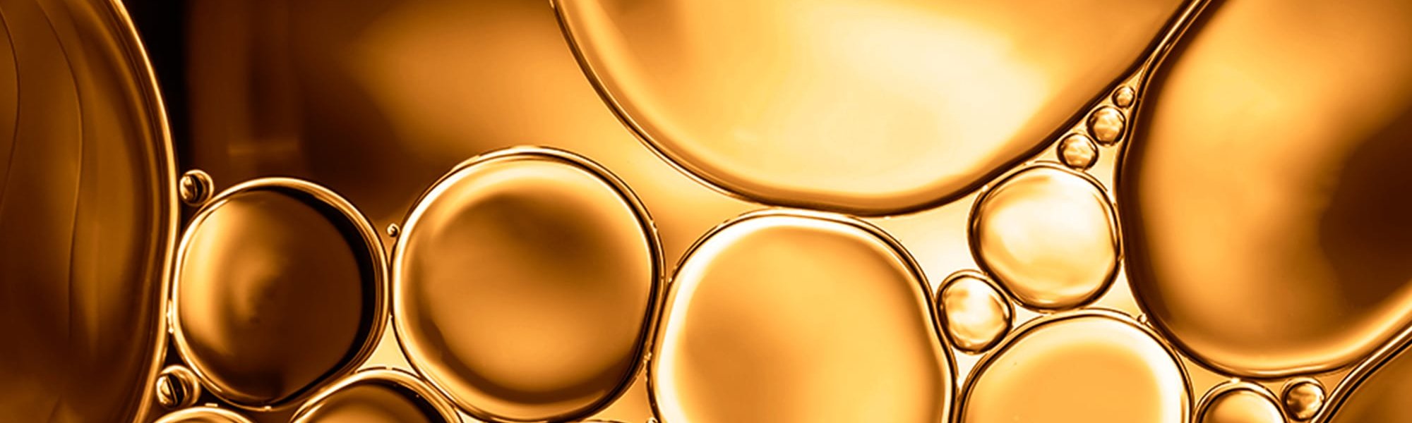 226663   2000x900px   Capelli Secchi
