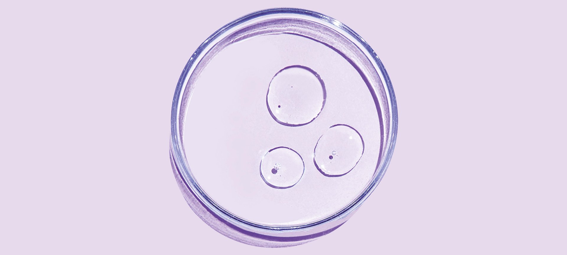 OAP Maschera Capelli Morbidi PED