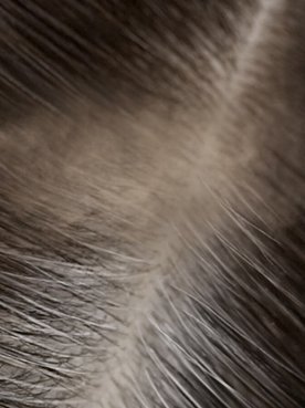 Ritocco Ricrescita Capelli Bianchi