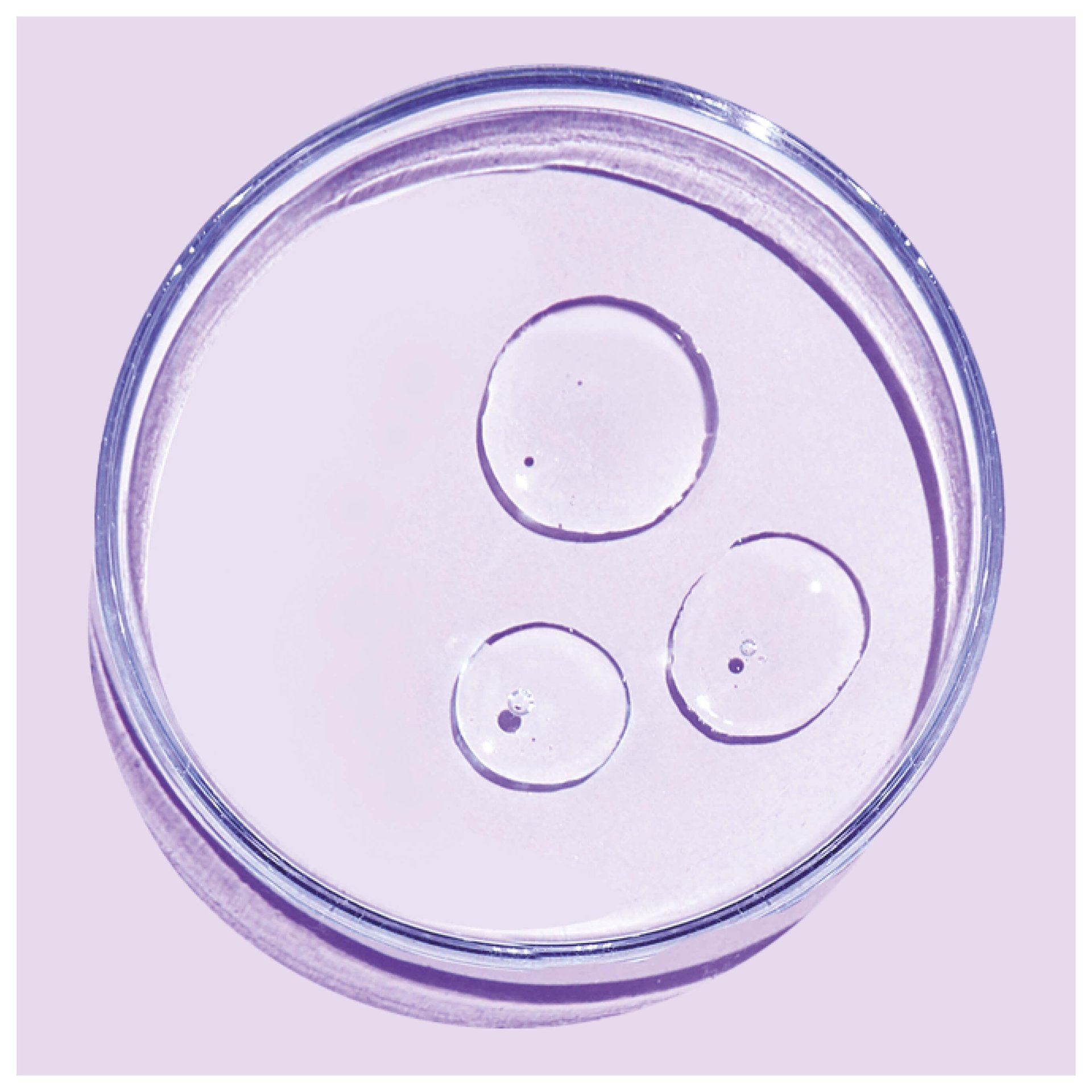 202207 OAP Maschera Capelli Morbidi PED