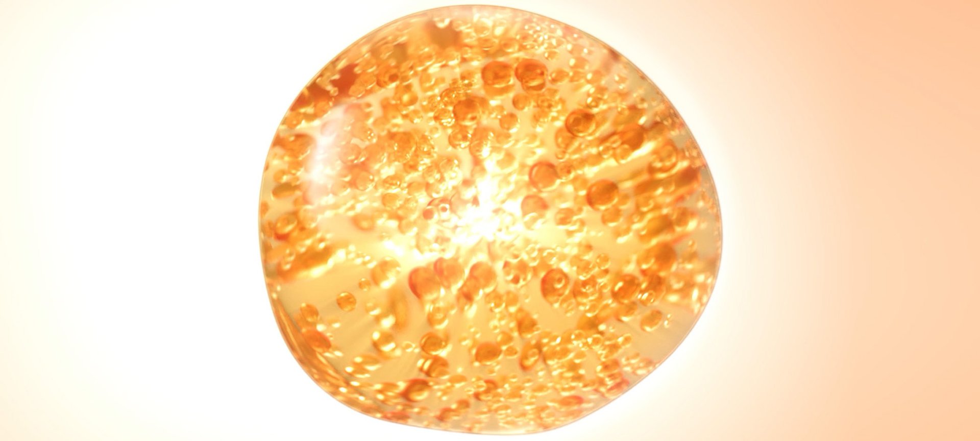 BANNERS_PURE_VITAMIN_C